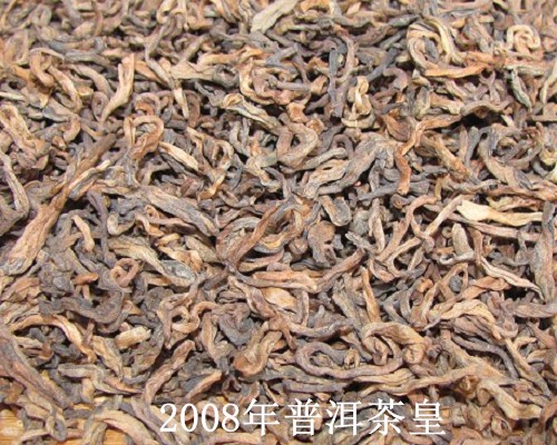 2008年普洱茶皇品鉴